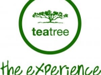 tea-tree